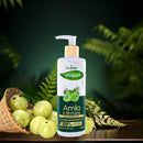 Prakritik Shampoo Amla y Polvo Ayurvédica 250 ml