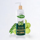 Prakritik Acondicionador Amla y Polvo Ayurdévica 250 ml