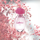 Cabotine Rose EDT 100 ml